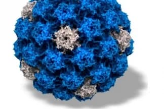 Besplatno cijepljenje protiv HPV-a