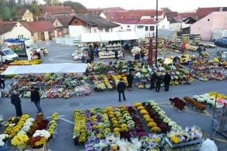 Počela prodaja cvijeća iza Gradske kuće