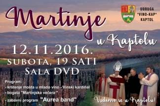 Martinje u Kaptolu 12.11.2016.