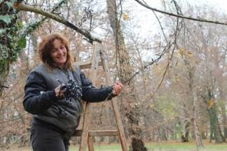 Započelo se s ukrašavanjem adventskog parka u Lipiku