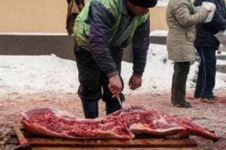 Porasle cijene svinja, velika mogućnost izvoza