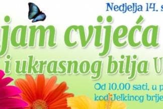 Danas posjetite 7. sajam Cvijeća u Lipiku