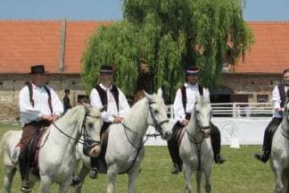 Spektakl u Lipiku - Deseta obljetnica povratka lipicanaca