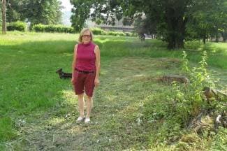 Jasna Brnad: Zahvaljujući 034portalu, šikara je pokošena