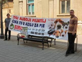 Prijavite svoje mezimce: Udruga Sirius bira najpsa Požege