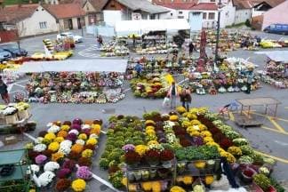 Započela prodaja cvijeća iza Gradske kuće