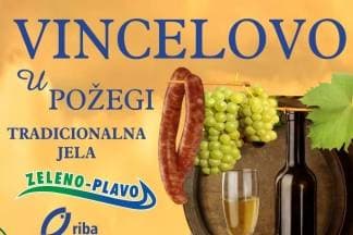 Manifestacija ¨zeleno - plavo¨ 20. siječnja na Trgu Sv. Trojstva