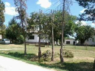 Cerovac dobiva novu rasvjetu i bolji napon, ali drvored trpi