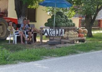 Broj uzgajivača lubenice u Kuli prepolovljen (foto)