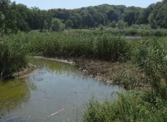 Suša i slabe pritoke ugrožavaju Sovsko jezero