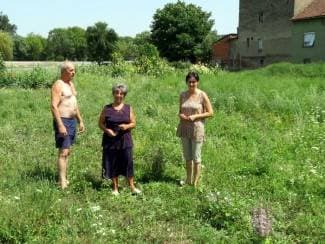 Cvjetna ulica: Komunalci im navezli zemlju s ambrozijom