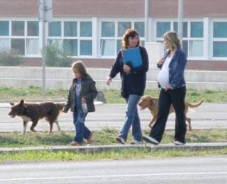 Veterinarska služba zbog tehničkih poteškoća nije na terenu