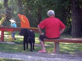 Gdje smiju vlasnici pasa prošetati svoje ljubimce? (foto)