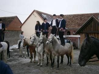 Spremni za pokladno jahanje: Vrhunski konji uz narodne nošnje