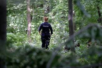 Požežanin krao drva u Krivaju
