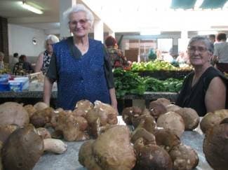 Baka Anka: Vrganji su na rasprodaji, unuk mi se ženi!