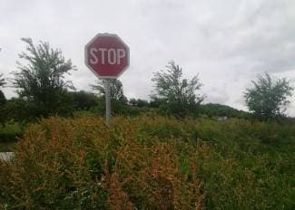 Džungla uz raskrižje: Siguran izlazak na glavnu cestu je lutrija