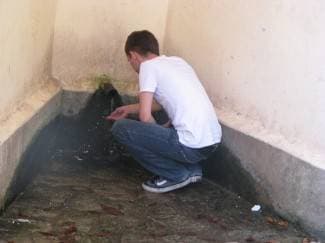 Voda na Tekiji zadnji put ispitana prije 3 godine