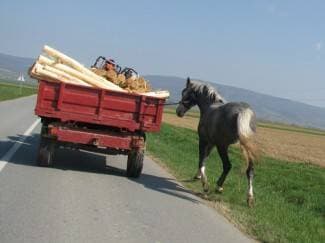 Neregistriranim traktorom prevozio sumnjiva drva