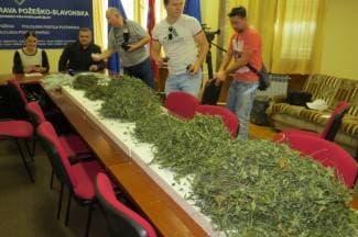 Muškarac (45) iz Požege pao s 5 kg marihuane