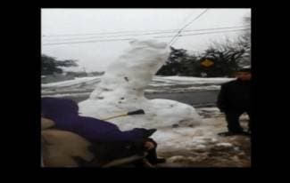 Baki se zamjerio Snješko Penis pa ga napala i srušila (video)