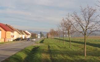 Za uništavanje zelenih površina novčane kazne