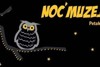 Noć muzeja u Pakracu: Animacija, radionice i izložbe