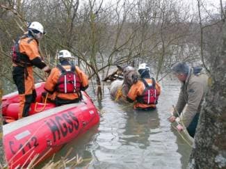 Požeški HGSS-ovci spašavali konje od utapanja (foto)