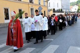 Biskup predvodio središnje slavlje na Cvjetnicu