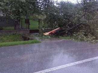 Vjetar ruši stabla, Veličanka prijeti izlijevanjem