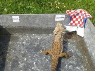 Grbavi odlučio: Hrvatska će pobijediti!