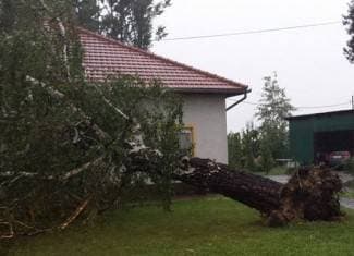 Breza se srušila na kuću, voda se slijeva u dvorišta (foto, video)