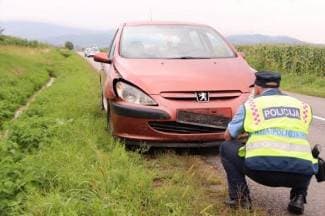 Peugeotom naletio na srndaća i na mjestu ga usmrtio