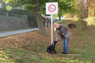 ¨Zašto ne smijemo parkom šetati pse?¨: Evo prijedloga za Grad (foto)