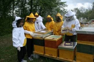 Uspješno realiziran projekt ¨The Bee Incubator¨