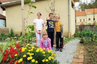 Mali vrtlari posadili mrkvu i ciklu; pripremaju zimnicu (foto)