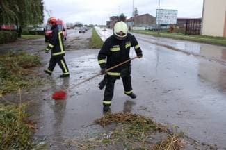 Vjetar ruši stabla i kida grane: Najgore u Industrijskoj i na Ratarnici (foto)