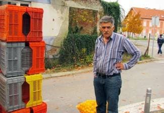 Planulo 5 tona mandarina: ¨Na to su nas natjerali otkupljivači¨