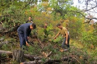 Održana radionica o planu upravljanja planom
