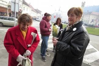 U subotu u Požegi: Kupite mimoze; novac ide za prijevoz žena na mamografiju