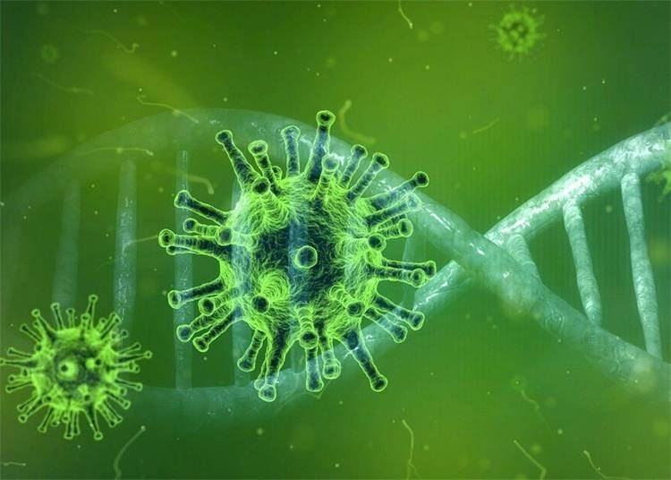 SB Online | U posljednja 24 sata zabilježeno je 1529 novih slučajeva zaraze virusom SARS-CoV-2