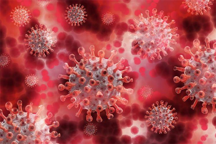 SB Online | U posljednja 24 sata zabilježena su 2234 nova slučaja zaraze korona virusom 