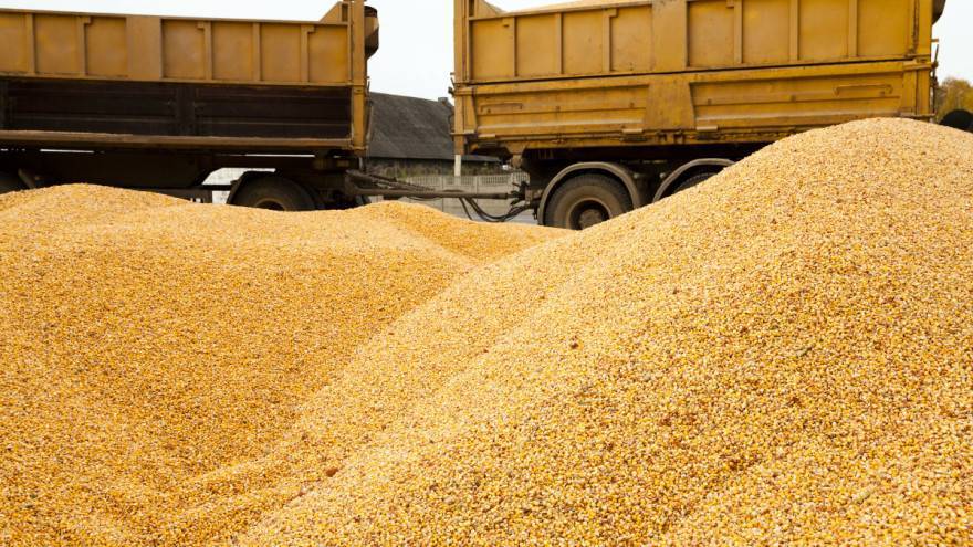 SB Online | I u prvom mjesecu 2021. rasle cijene hrane, kukuruz prednjači