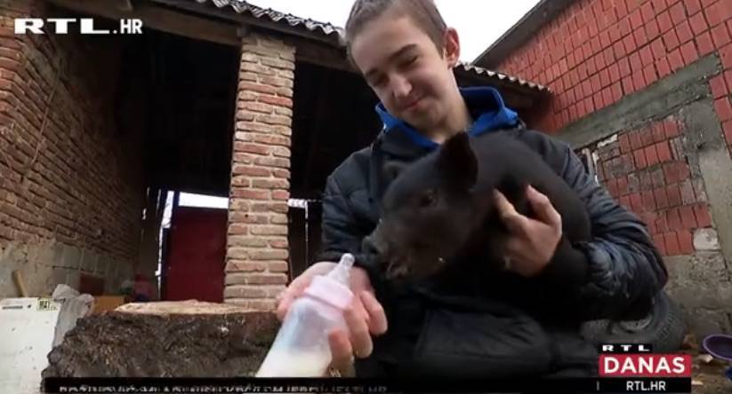 SB Online | 12-godišnji Slavonac sam brine o farmi s više od 100 životinja