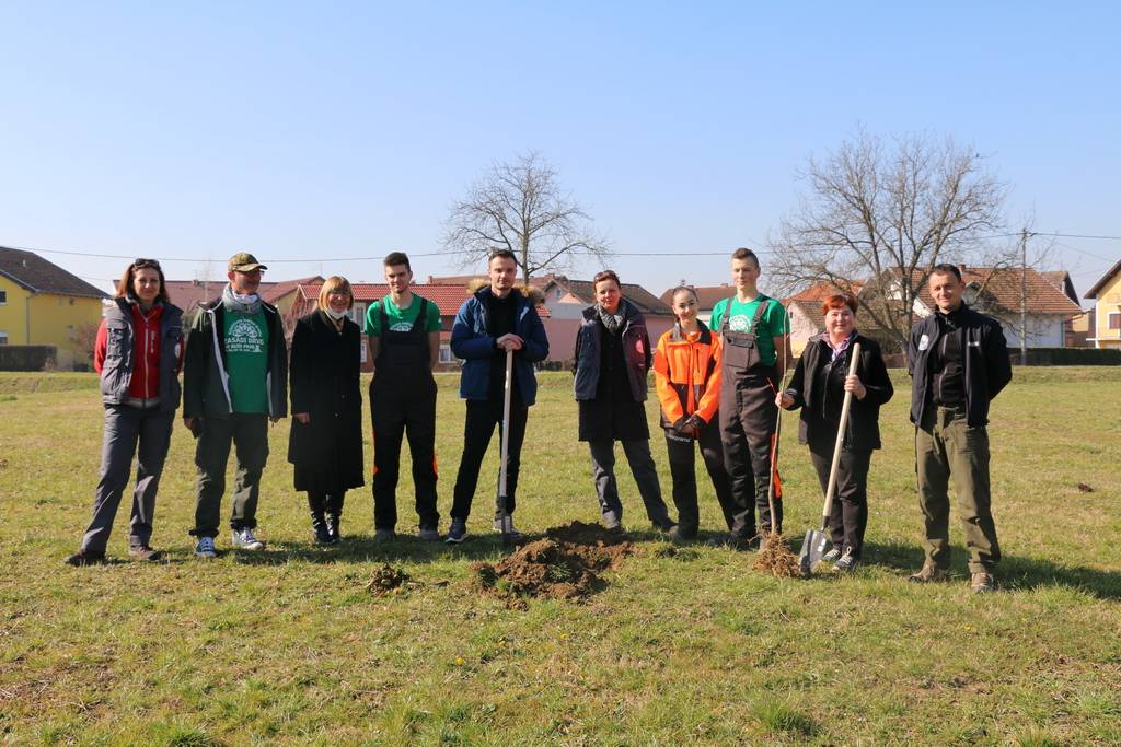 SB Online | Slavonski Brod priključio se nacionalnoj kampanji „Zasadi stablo, ne budi panj“