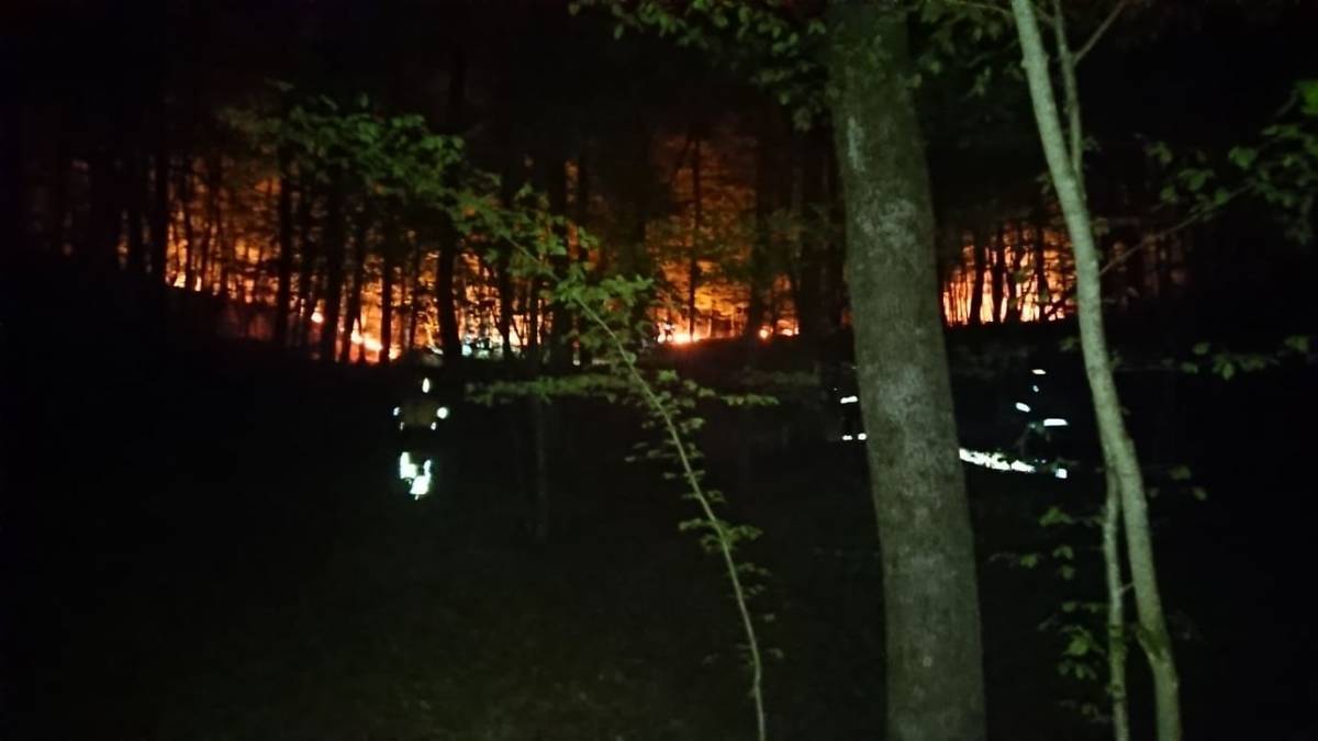 SB Online | Apel vatrogasaca za prestanak spaljivanja korova i poljoprivrednog otpada