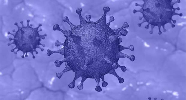 SB Online | U posljednja 24 sata zabilježen je 561 novi slučaj zaraze korona virusom 