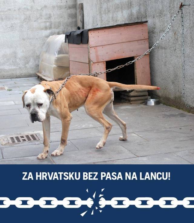 SB Online | Mreža za zaštitu životinja: Pas na lancu nije alarmni uređaj!