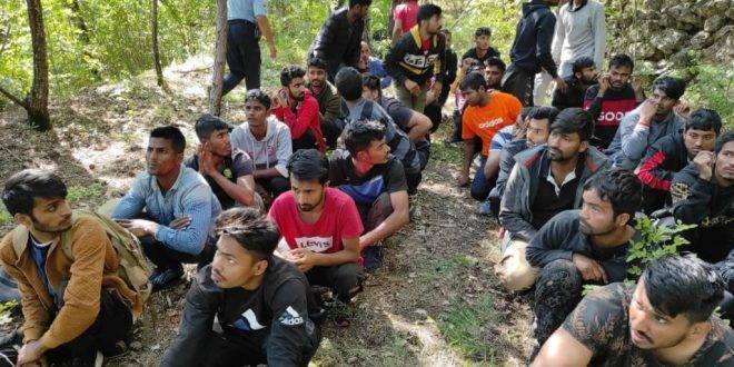 SB Online | U Cisti Velikoj otkriveno više od 40 ilegalnih migranata