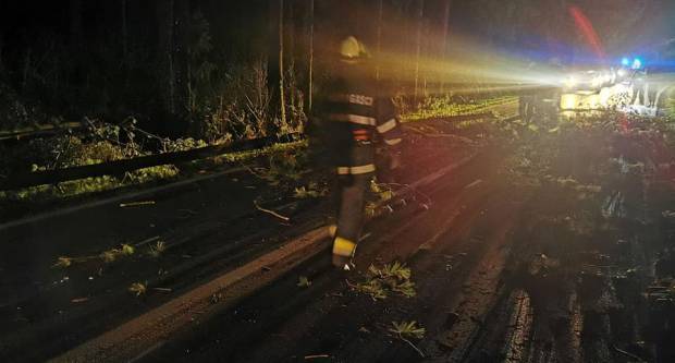 SB Online | U Sl. Brodu palo stablo. Civilna zaštita objavila detalje dojava poslije nevremena